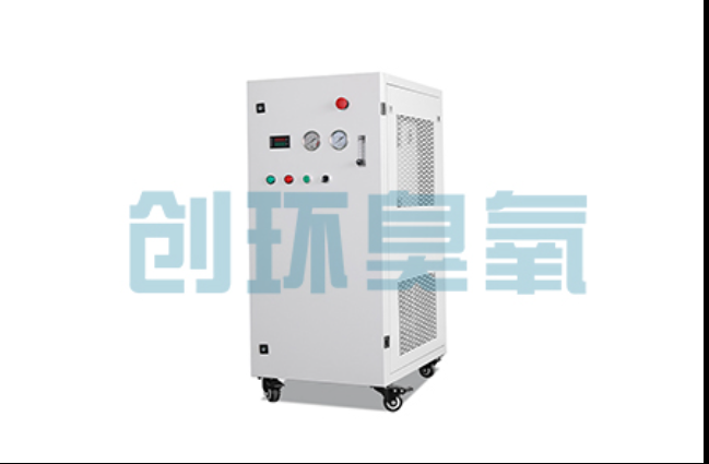 中山工厂化养鲈必看:2026年臭氧发生器替代传统消毒的最新方案