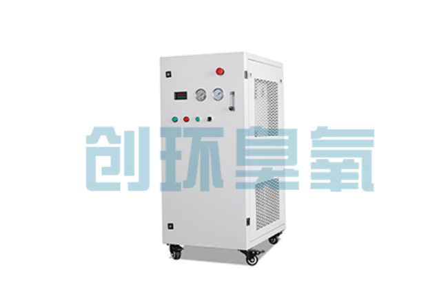 中山比传统换水更高效?臭氧发生器在石斑鱼养殖中的水质净化原理解析